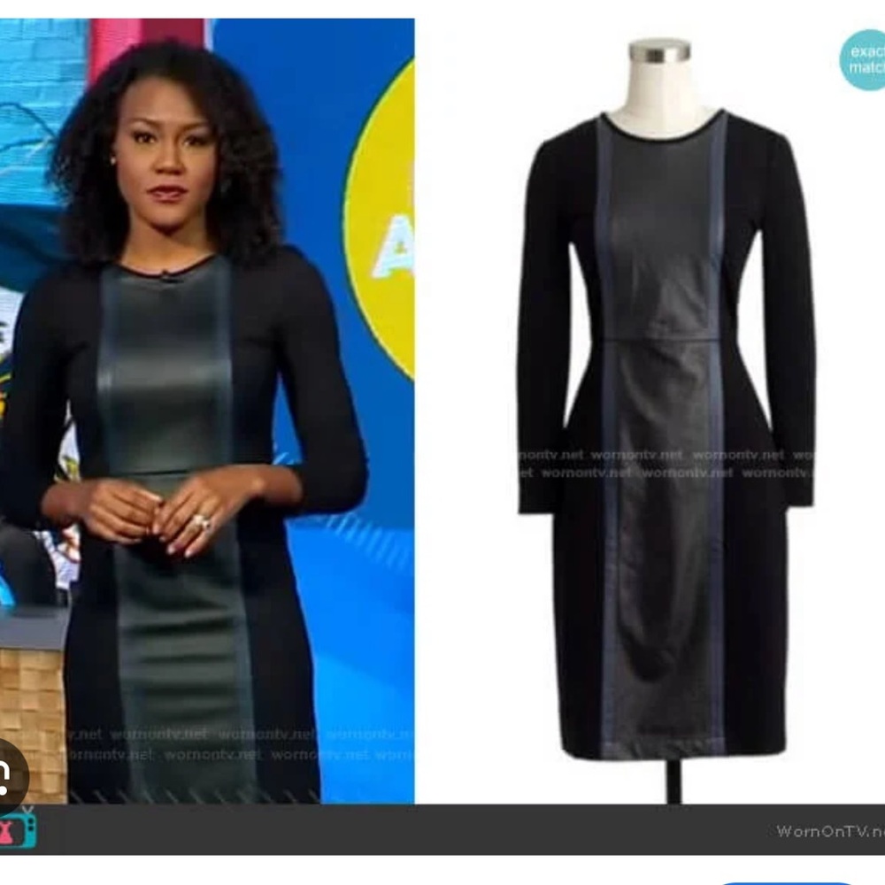J. Crew Leather Panel Dress